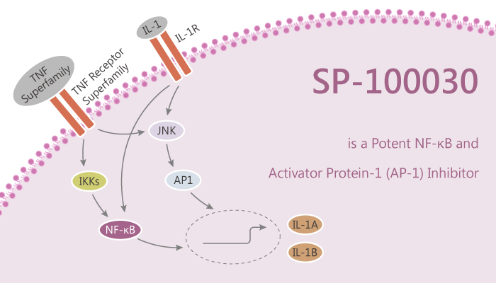 activator protein